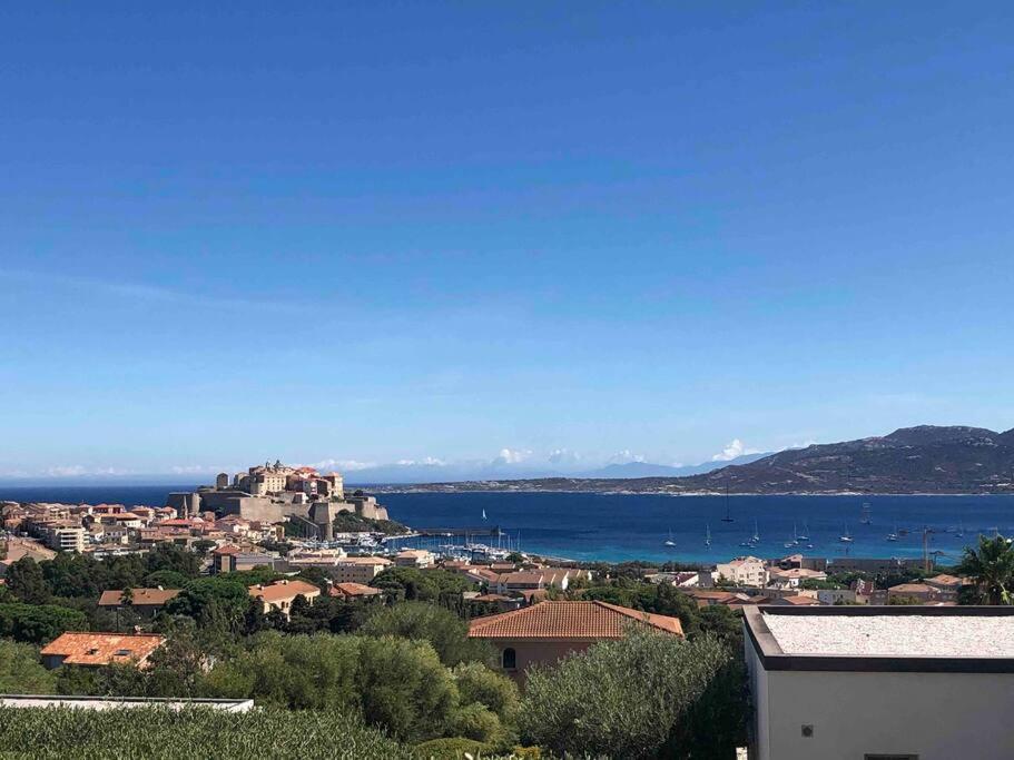 Exceptionnelle Vue Mer Calvi - Piscine - T2 Zewnętrze zdjęcie