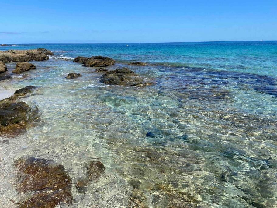 Exceptionnelle Vue Mer Calvi - Piscine - T2 Zewnętrze zdjęcie