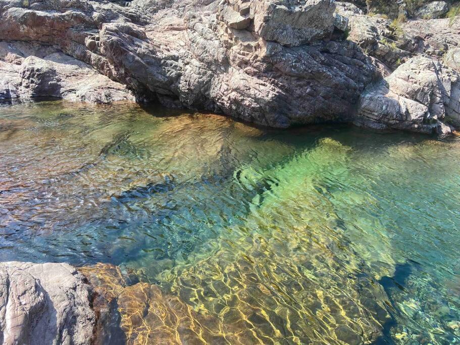 Exceptionnelle Vue Mer Calvi - Piscine - T2 Zewnętrze zdjęcie