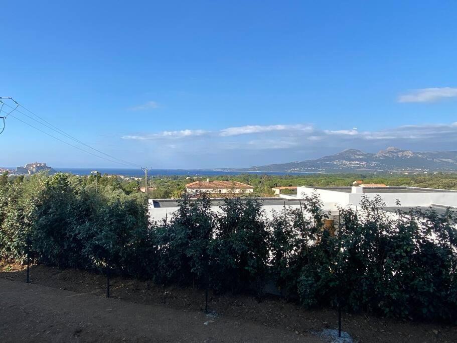 Exceptionnelle Vue Mer Calvi - Piscine - T2 Zewnętrze zdjęcie